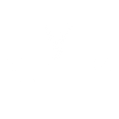 Ultra Premium Nicotine Pouches | Quit Smoking | Valø Sweden